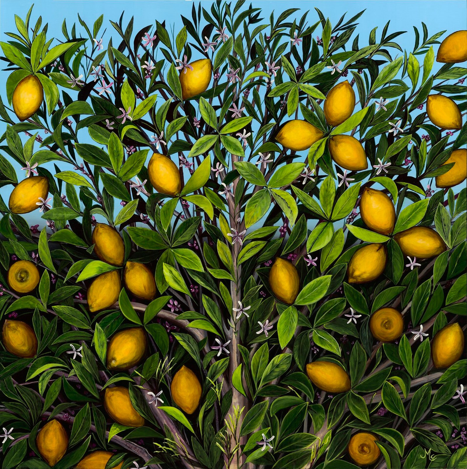 Monica-Lemon_2