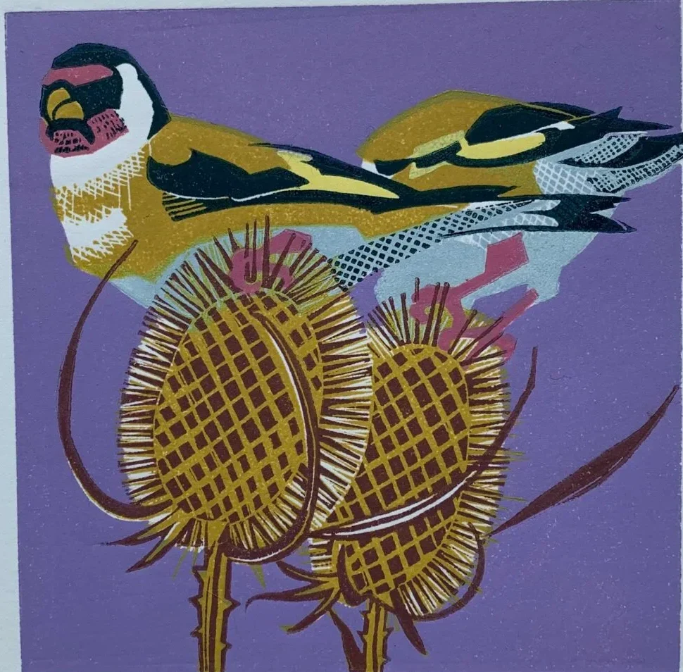 Goldfinch-1